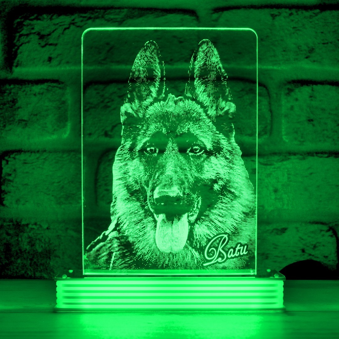 Köpek Sahiplerine Hediye Hayvanseverlere Hediye 3D Lamba
