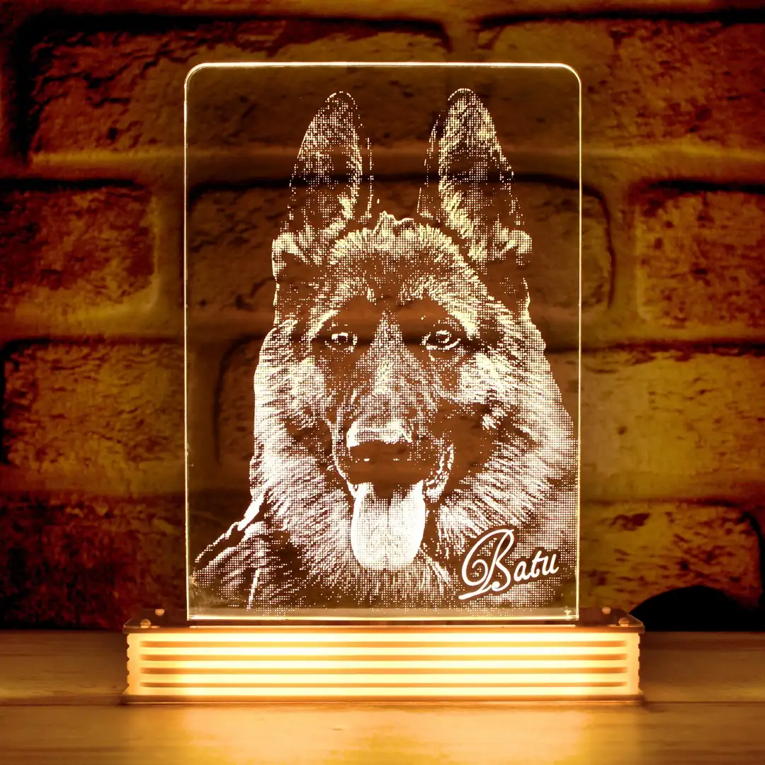 Köpek Sahiplerine Hediye Hayvanseverlere Hediye 3D Lamba