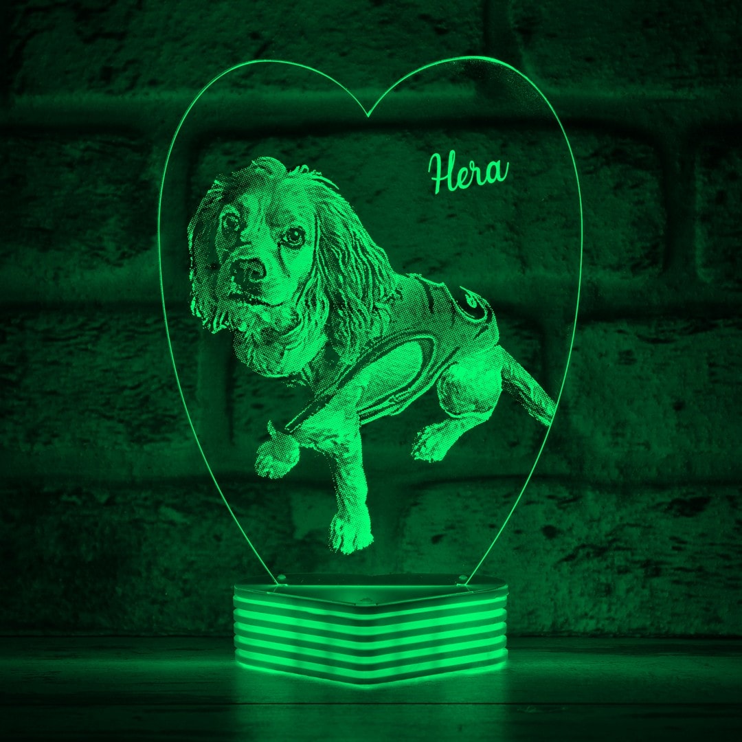 Hayvanseverlere Hediye, Köpek Sahiplerine Hediye