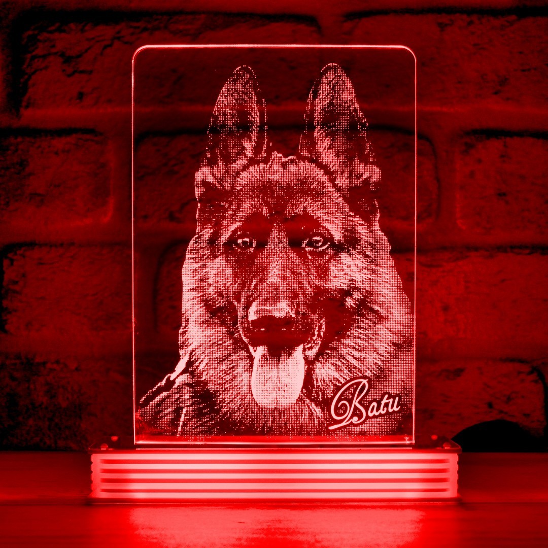 Köpek Sahiplerine Hediye Hayvanseverlere Hediye 3D Lamba