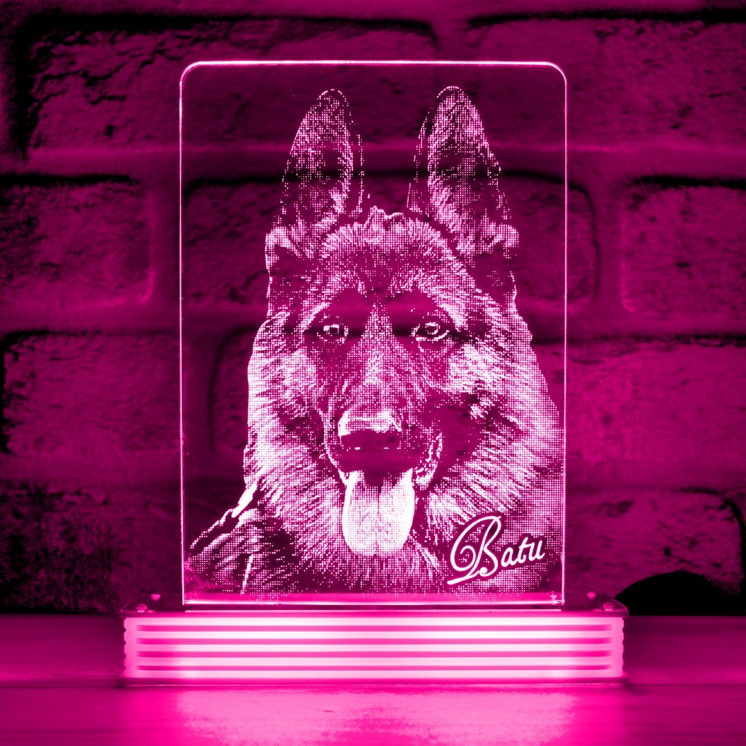Köpek Sahiplerine Hediye Hayvanseverlere Hediye 3D Lamba