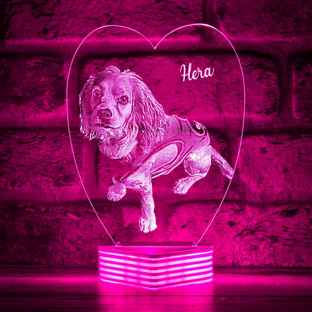 Hayvanseverlere Hediye, Köpek Sahiplerine Hediye