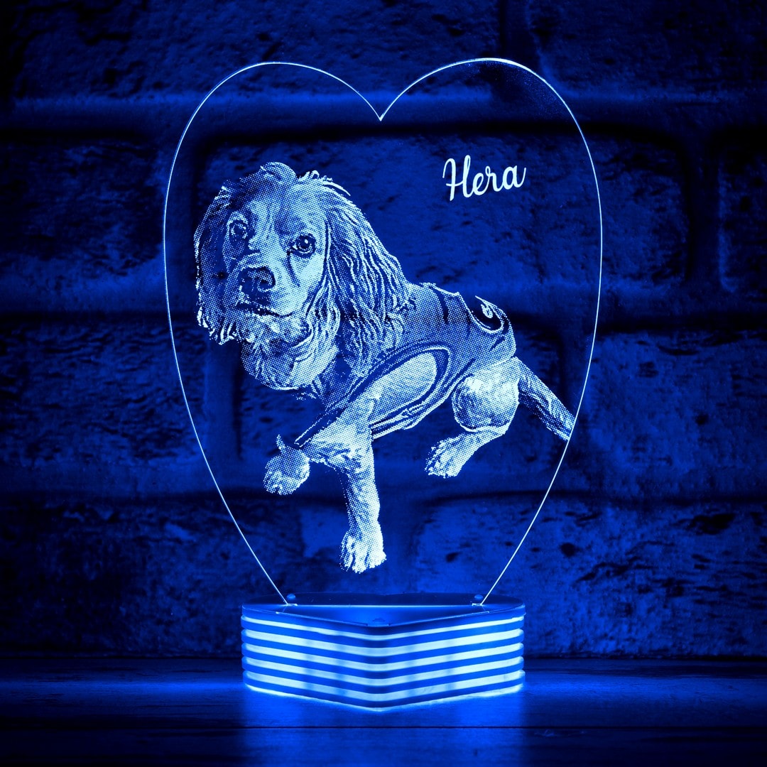 Hayvanseverlere Hediye, Köpek Sahiplerine Hediye