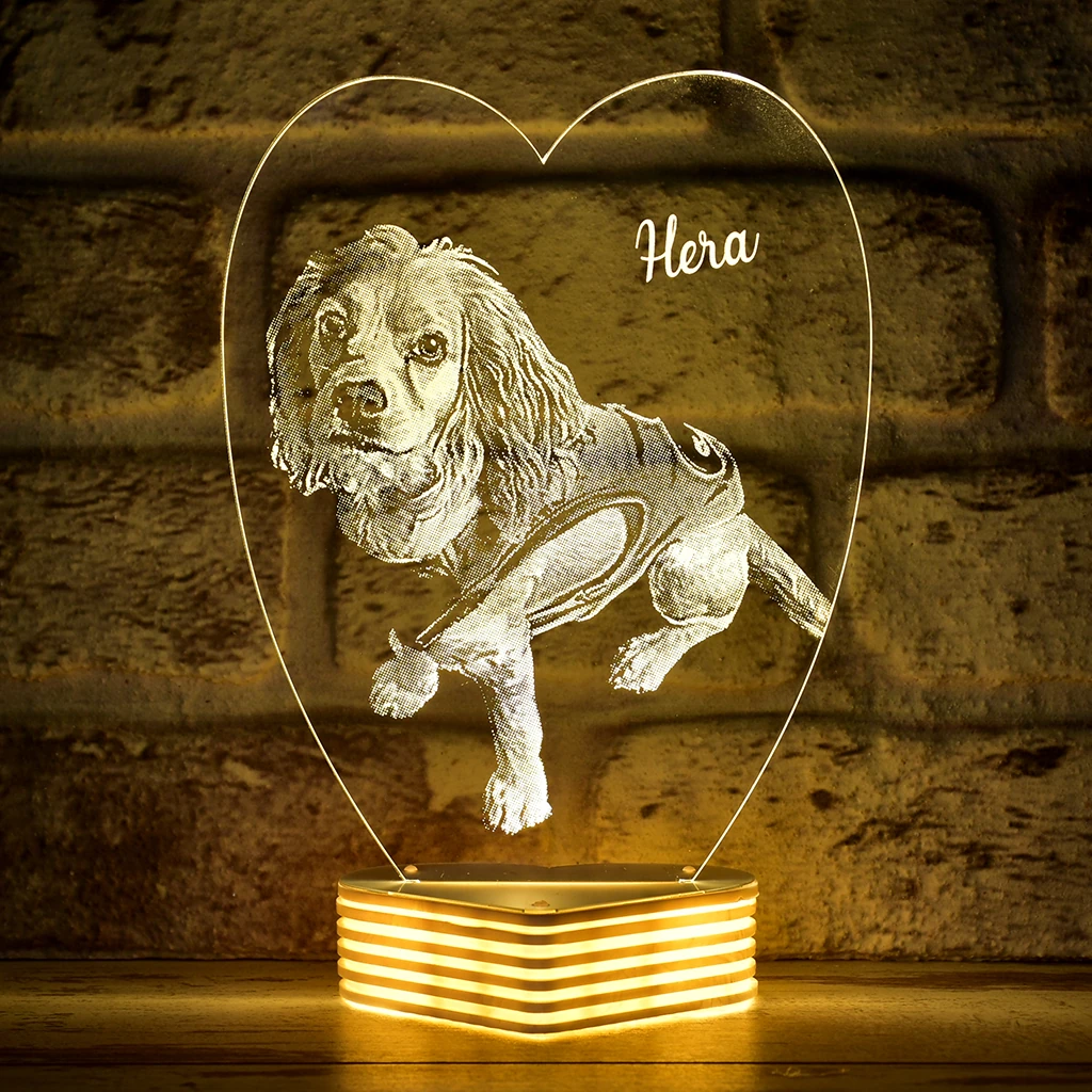 Hayvanseverlere Hediye, Köpek Sahiplerine Hediye