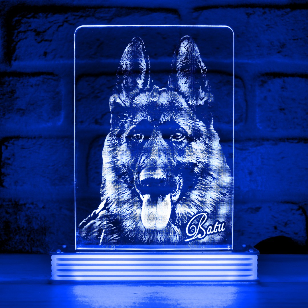 Köpek Sahiplerine Hediye Hayvanseverlere Hediye 3D Lamba