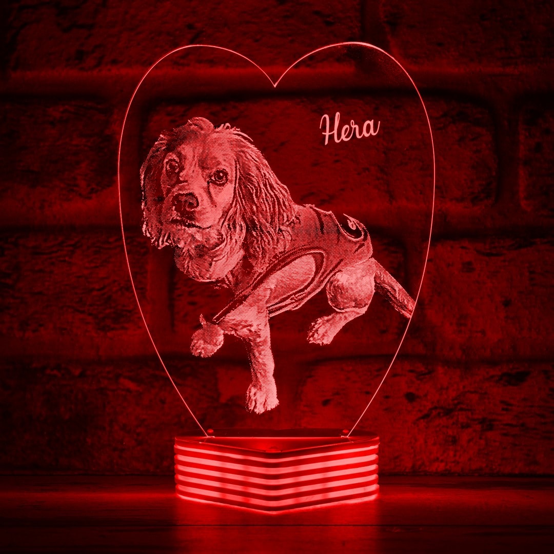 Hayvanseverlere Hediye, Köpek Sahiplerine Hediye