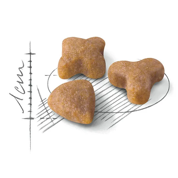 FHN Royal Canın Sensible 33 Yetişkin Tavuklu Kedi Maması 2 Kg