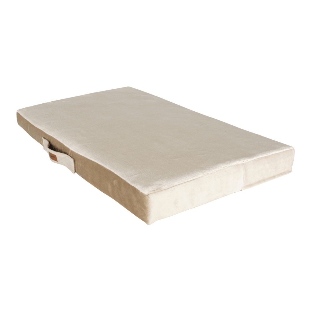 Sponge Bed (İç Mekan) 60*95 (L) Kahverengi