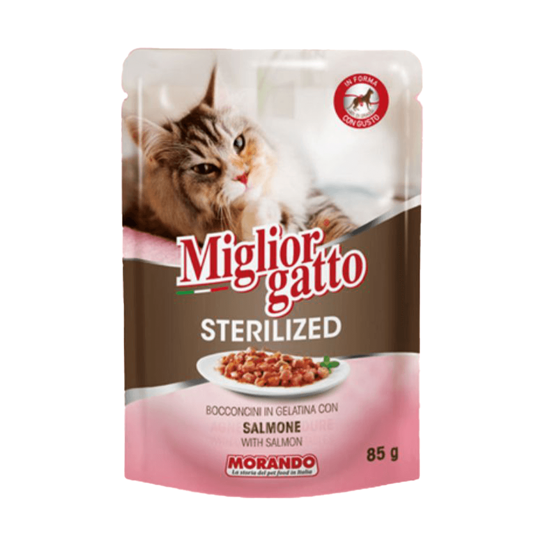 MİGLİOR GATTO KISIR KEDİ 85 GR SOMON