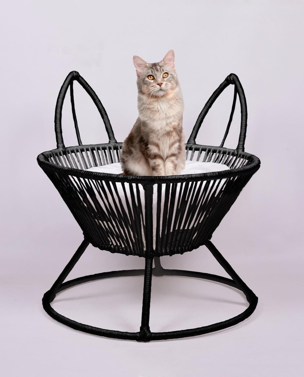 SAKSI MODEL KEDİ YATAK MİX