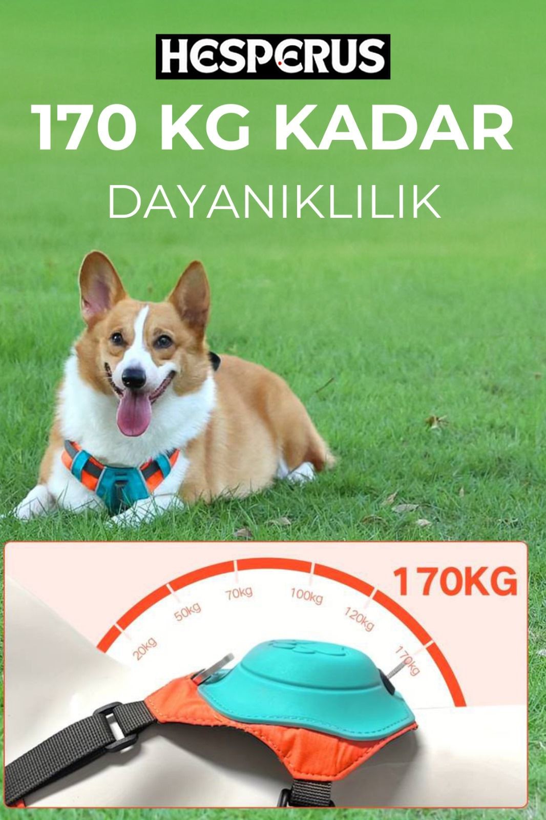 Ultra Seri Otomatik Göğüs Tasması XS Turkuaz