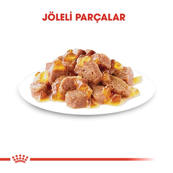 Royal Canın Jöle Kısırlaştırılmış Yetişkin Kedi 85gr