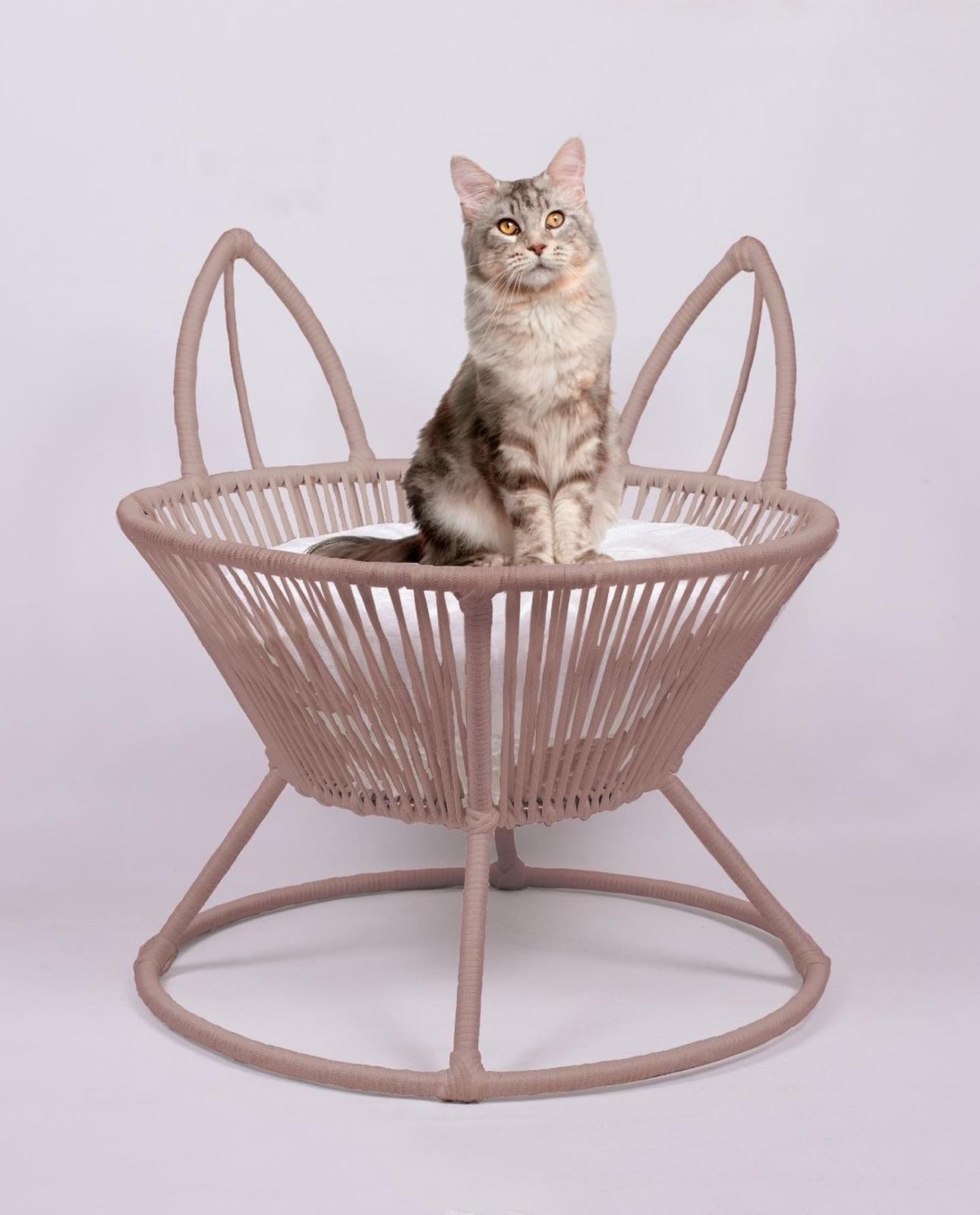 SAKSI MODEL KEDİ YATAK MİX