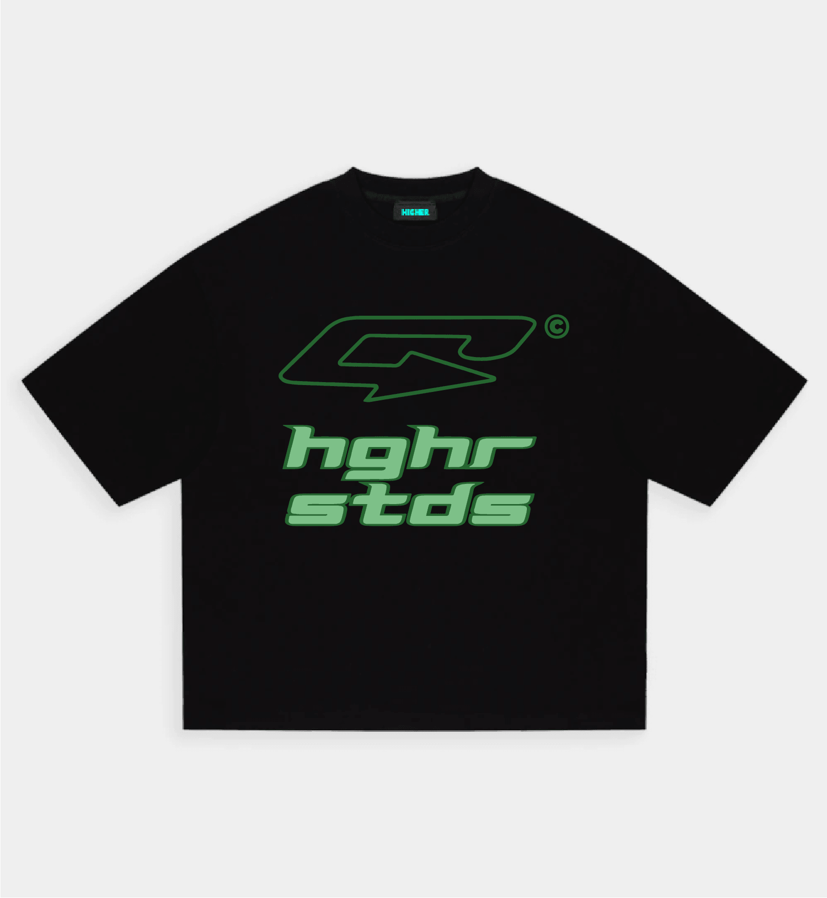 HGHR STDS C Premium Unisex Oversize T-shirt