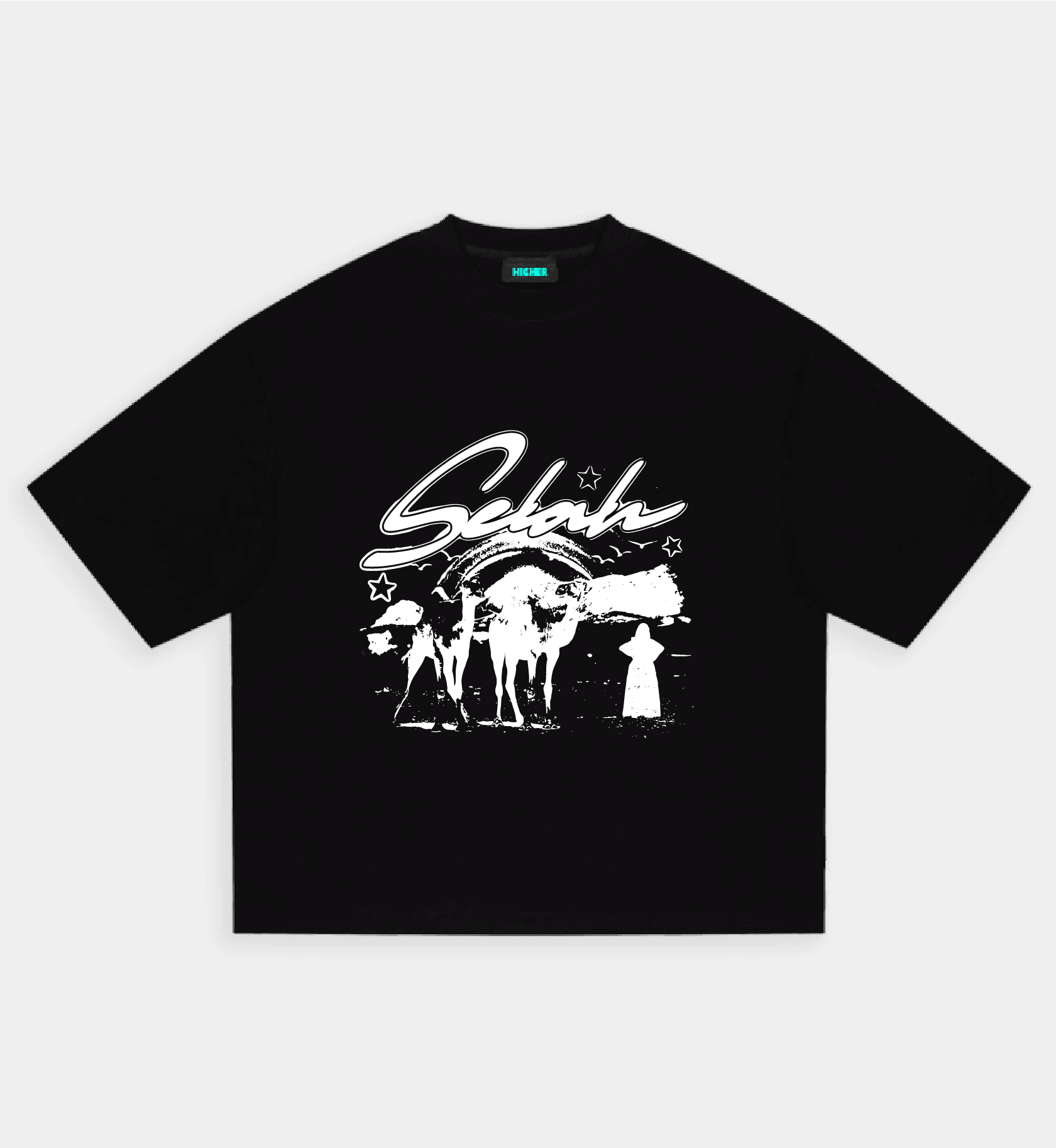 Desert Camels Premium Unisex Oversize Tshirt