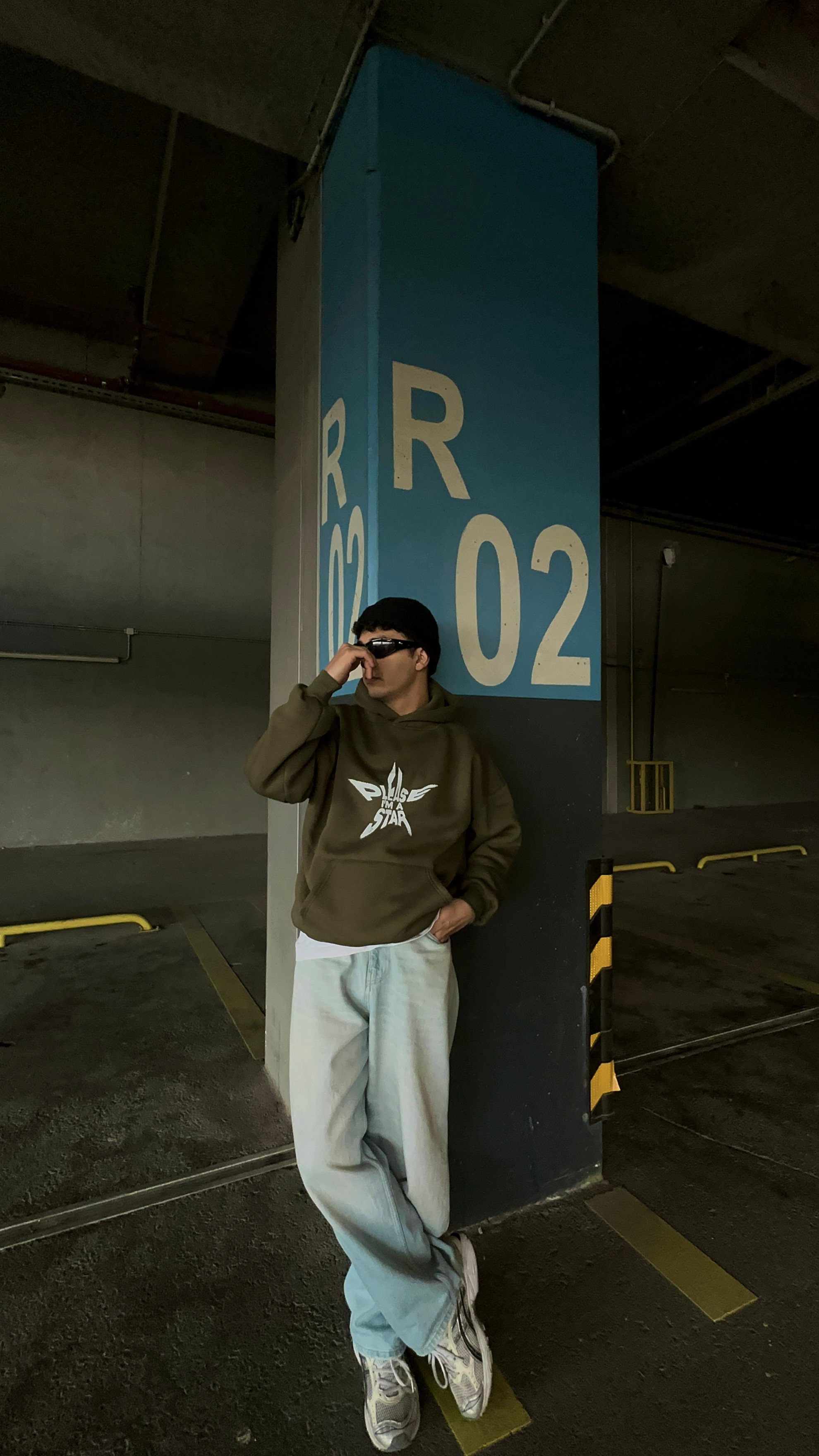 PLEASE STAR PREMIUM UNISEX OVERSIZE SWEATSHIRT