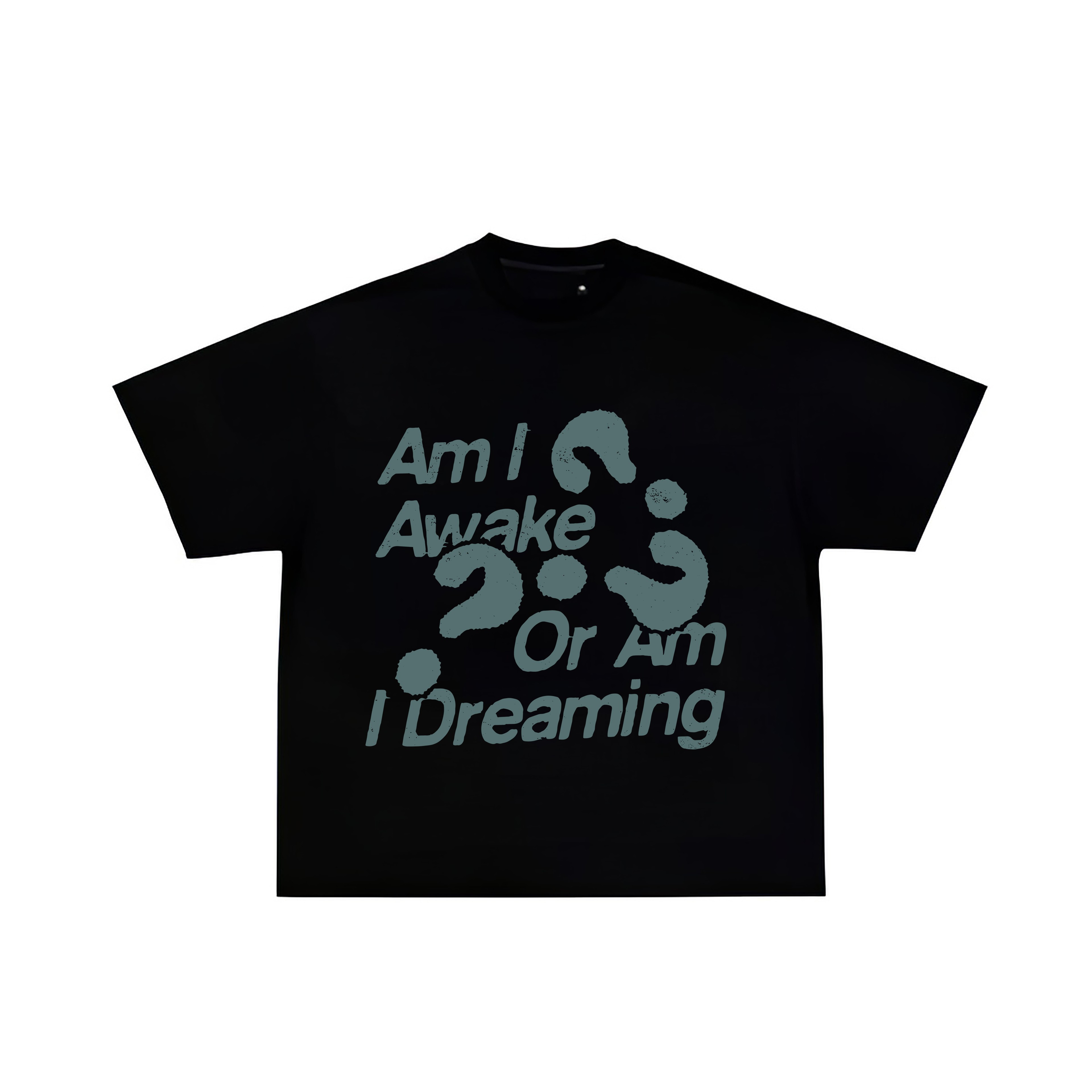 Am I Awake Or I Am Dreaming Unisex Oversize T-shirt