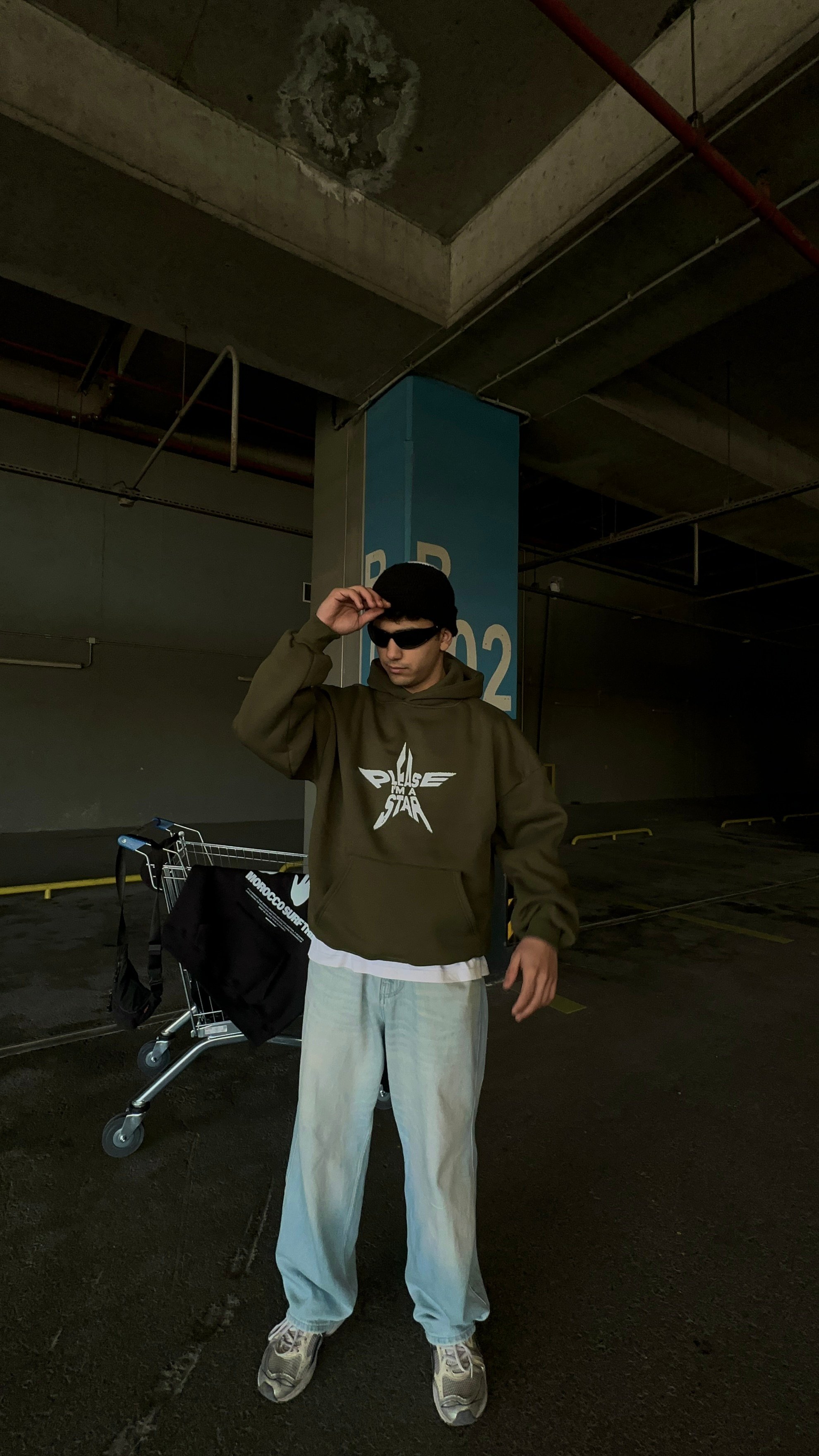 PLEASE STAR PREMIUM UNISEX OVERSIZE SWEATSHIRT