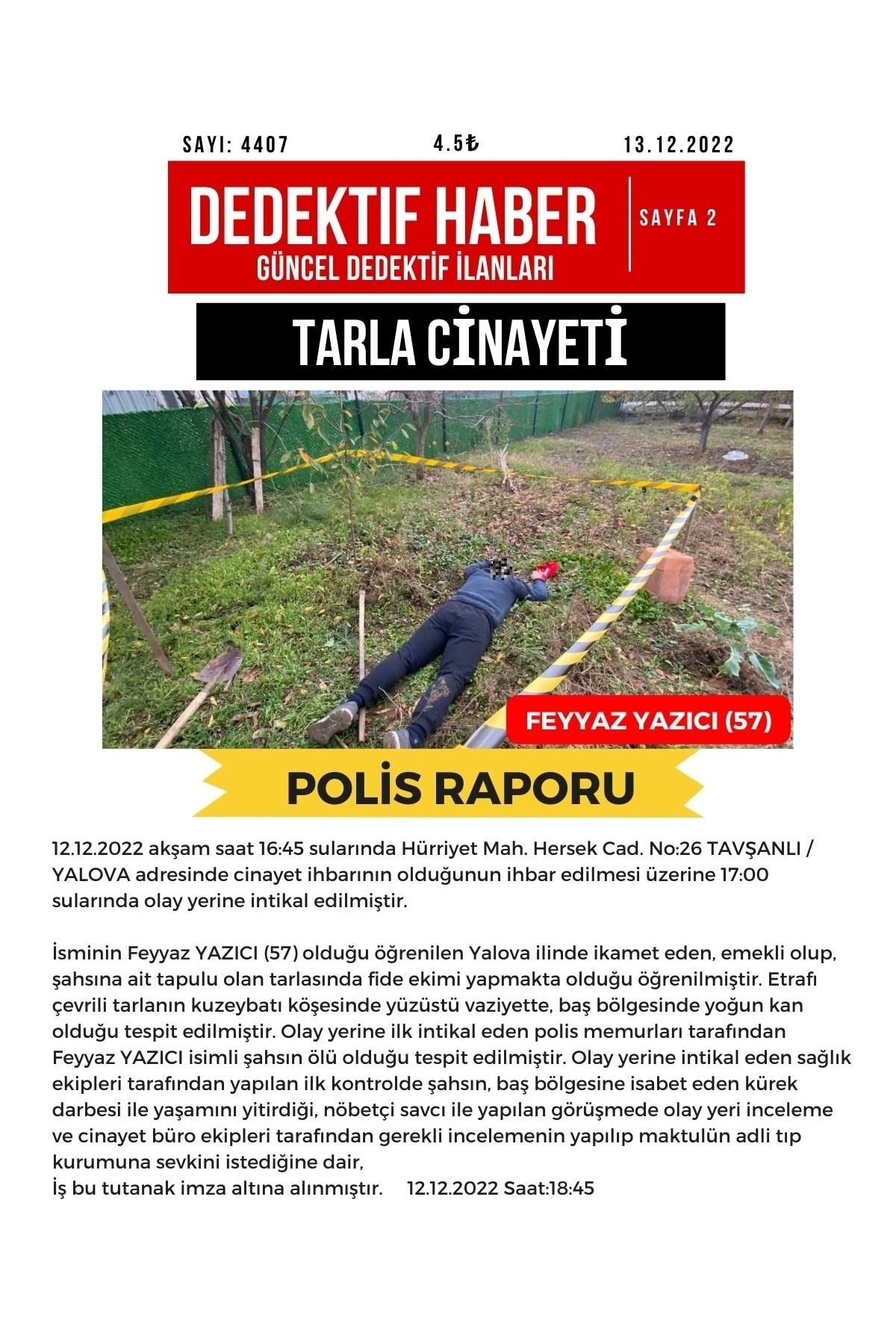 2'li Paket Cinayet Çözme Dedektiflik Oyunu  | Seri Katil ve Tarla Davası