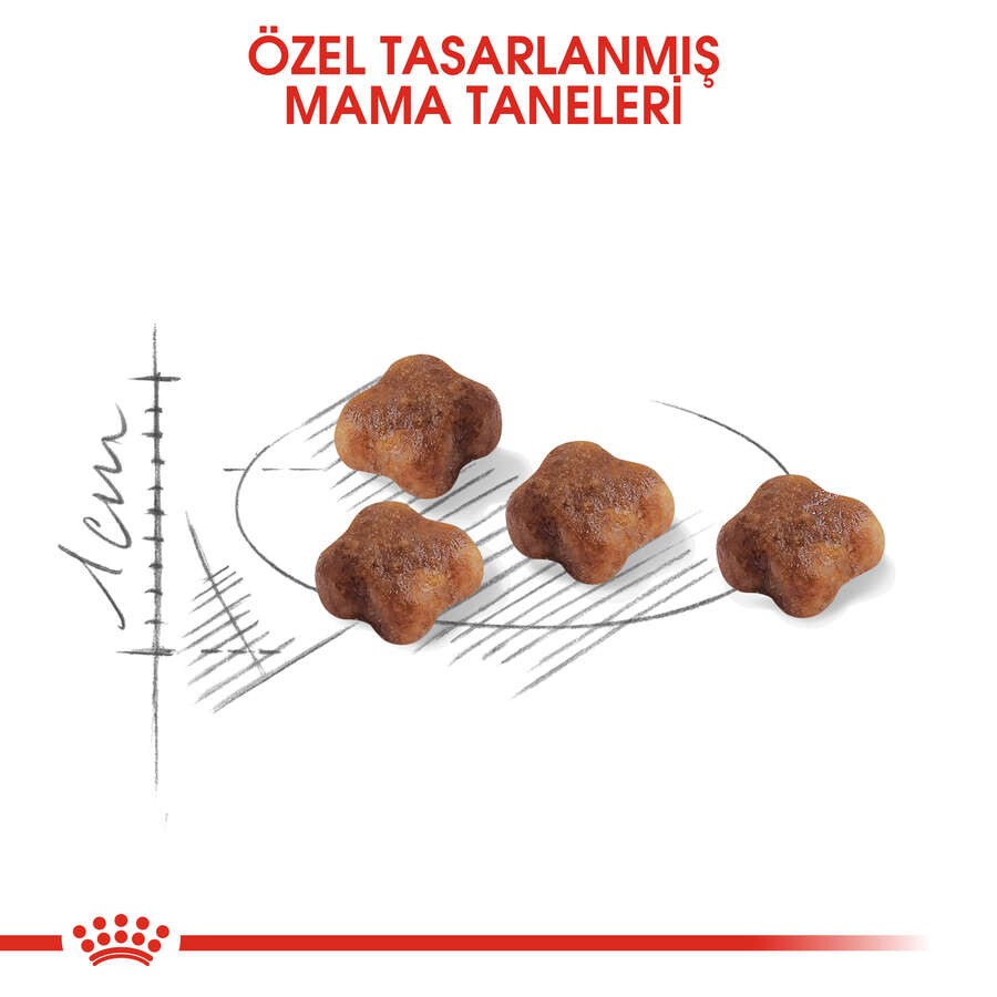Royal Canin Mother & Babycat Anne ve Yavru Kedi Maması, 4 Kg