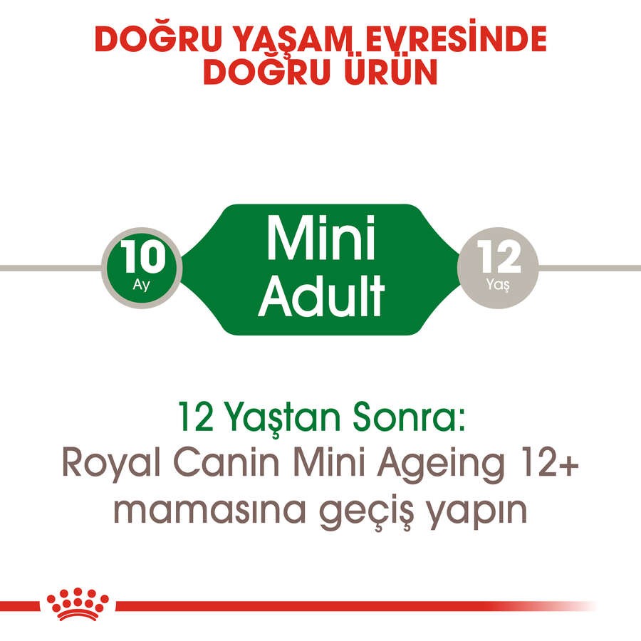 Royal Canin Mini Adult Pouch Köpek Yaş Maması, 85 G x 12 Adet