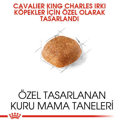 Royal Canin Cavalier King Charles Adult Yetişkin Köpek Maması, 3 Kg