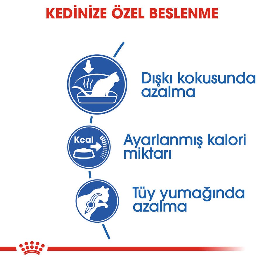 Royal Canin INDOOR27 Yetişkin Kedi Maması, 2 Kg