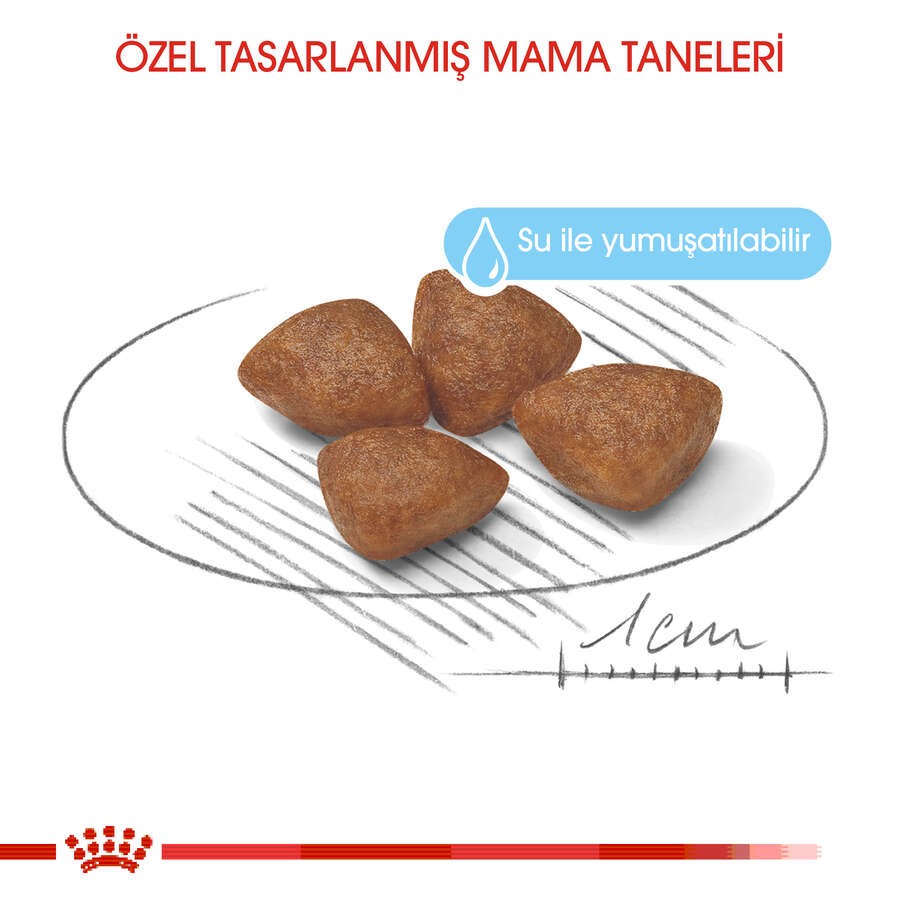 Royal Canin Mini Starter Mother & Babydog Küçük Irk Anne ve Yavru Köpek Maması, 4 Kg