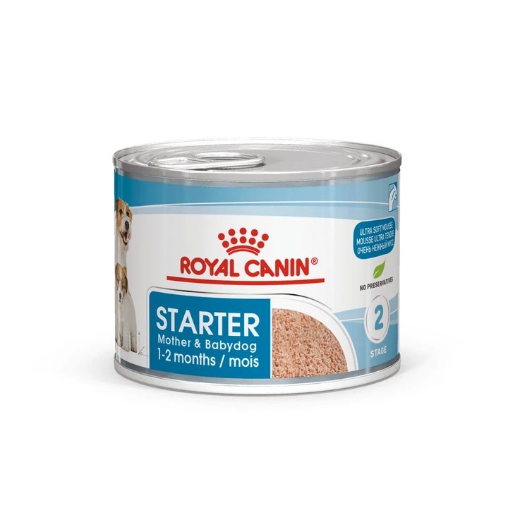 Royal Canin Starter Mousse Anne ve Yavruları İçin Köpek Konservesi 195 G