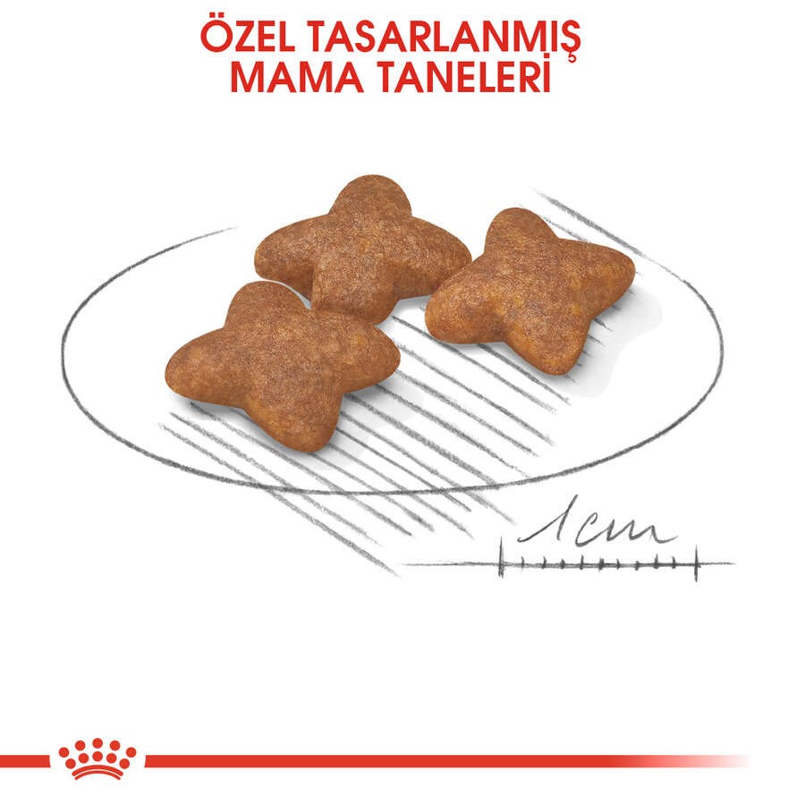 Royal Canin Mini Adult Yetişkin Köpek Maması, 8 Kg