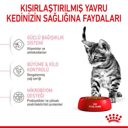 Royal Canin Kitten Sterilised Kısırlaştırılmış Yavru Kedi Maması, 2 Kg