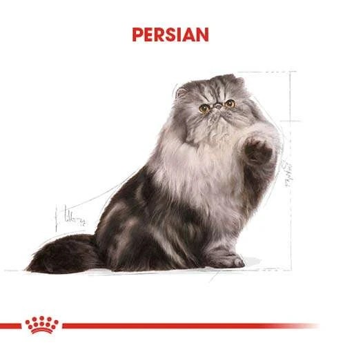 Royal Canin Persian Adult Yetişkin Kedi Maması, 400 G