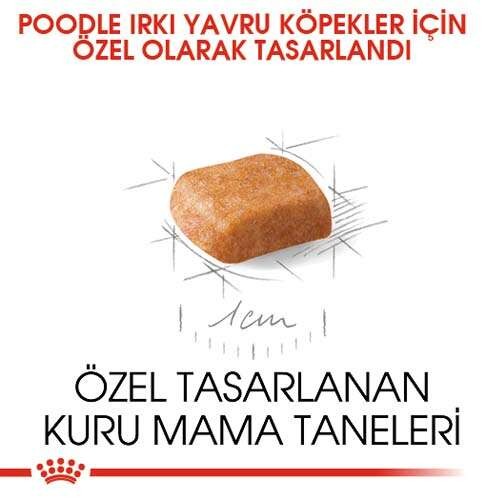 Royal Canin Poodle Puppy Yavru Köpek Maması, 3 Kg