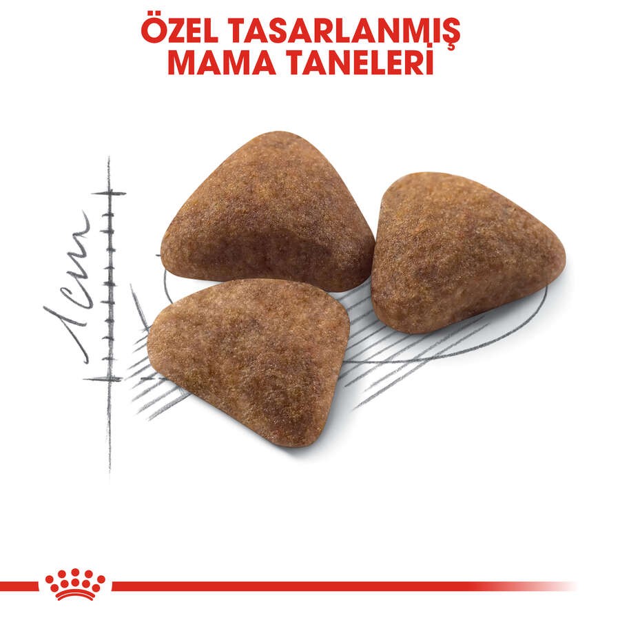 Royal Canin INDOOR27 Yetişkin Kedi Maması, 400 G