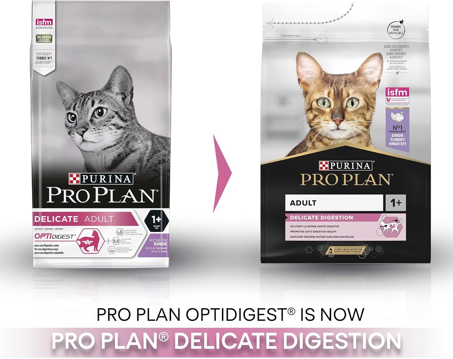 Pro Plan Delicate Turkey, Hindili Yetişkin Kedi Kuru Maması 3 Kg