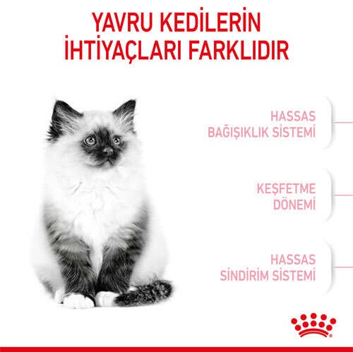 Royal Canin Kitten Yavru Kedi Maması, 2 Kg