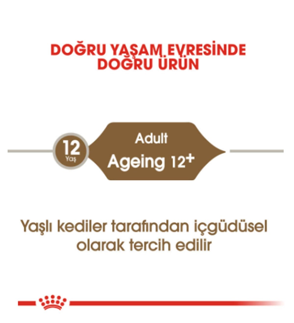 Royal Canin Ageing +12 Gravy Pouch Yaşlı Kedi Yaş Maması, 85 G x 12 Adet