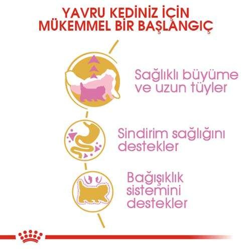 Royal Canin Persian Kitten Yavru Kedi Maması, 2 Kg