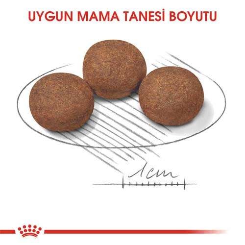 Royal Canin Medium Puppy Yavru Köpek Maması, 15 Kg