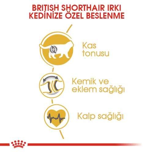 Royal Canin British Shorthair Adult Yetişkin Kedi Maması, 400 G