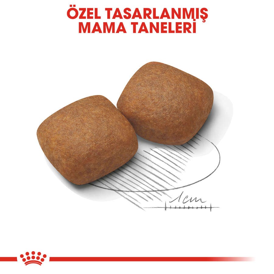 Royal Canin Giant Junior Yavru Köpek Maması, 15 Kg