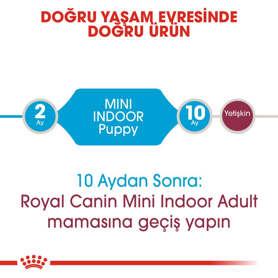 Royal Canin Mini Indoor Puppy Yavru Köpek Maması, 1,5 Kg