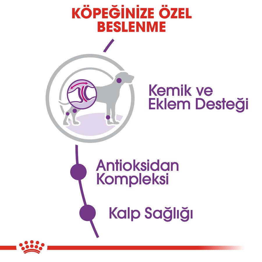 Royal Canin Giant Adult Yetişkin Köpek Maması, 15 Kg