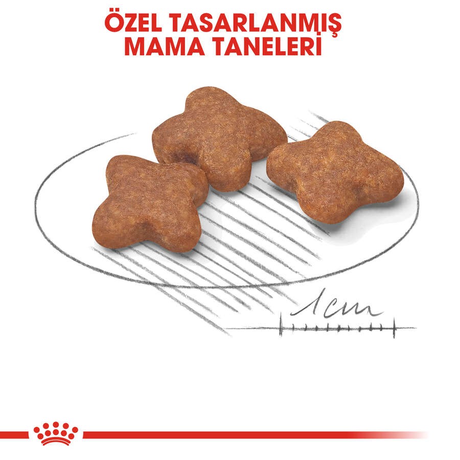 Royal Canin Mini Adult +8 Yaşlı Köpek Maması, 2 Kg