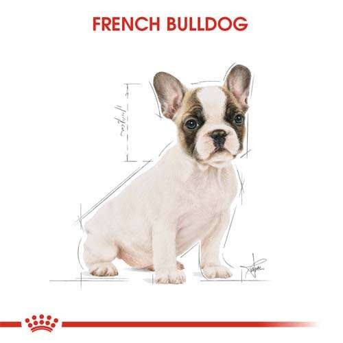 Royal Canin French Bulldog Puppy Yavru Köpek Maması, 3 Kg