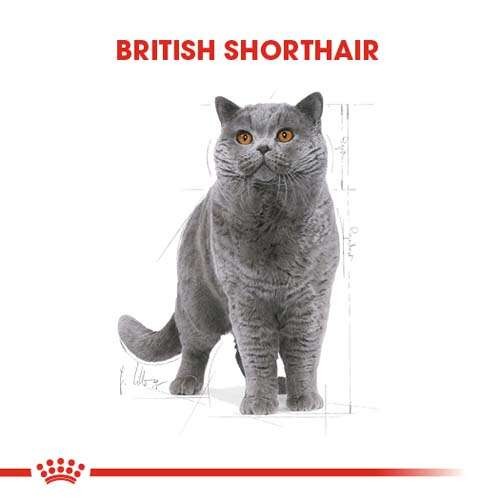 Royal Canin British Shorthair Adult Yetişkin Kedi Maması, 400 G