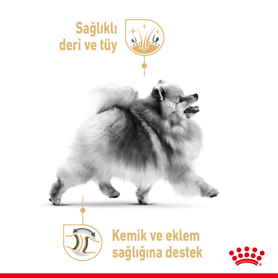 Royal Canin Pomeranian Adult Yetişkin Köpek Maması, 3 Kg