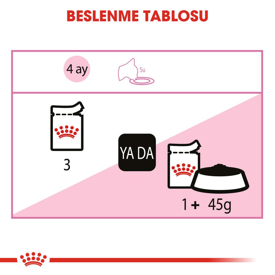 Royal Canin Kitten Gravy Pouch Yavru Kedi Yaş Maması, 85 G x 12 Adet