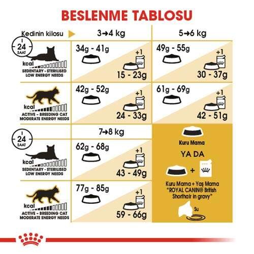 Royal Canin British Shorthair Adult Yetişkin Kedi Maması, 4 Kg