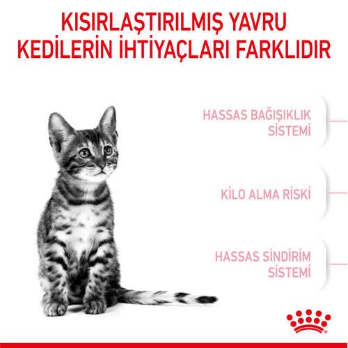 Royal Canin Kitten Sterilised Kısırlaştırılmış Yavru Kedi Maması, 2 Kg